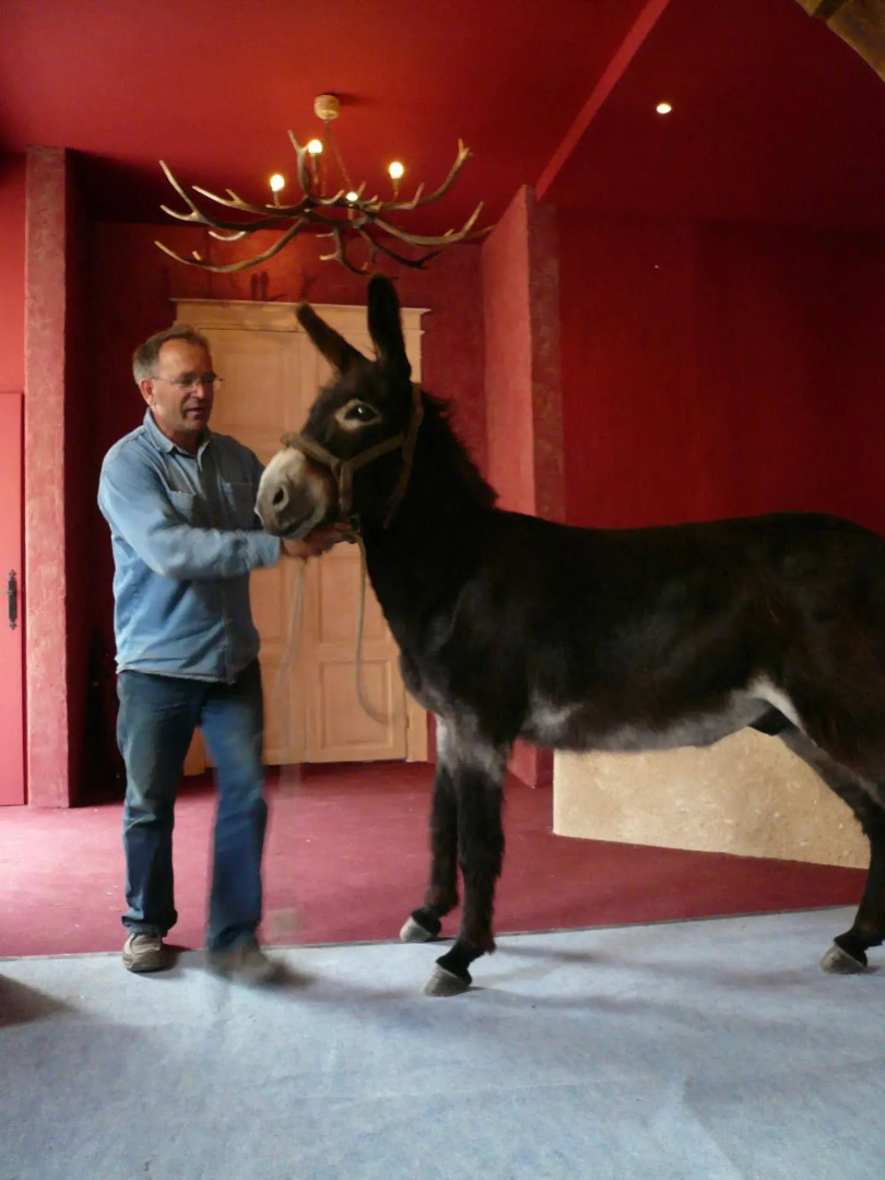 Château-monastère de La Corroirie