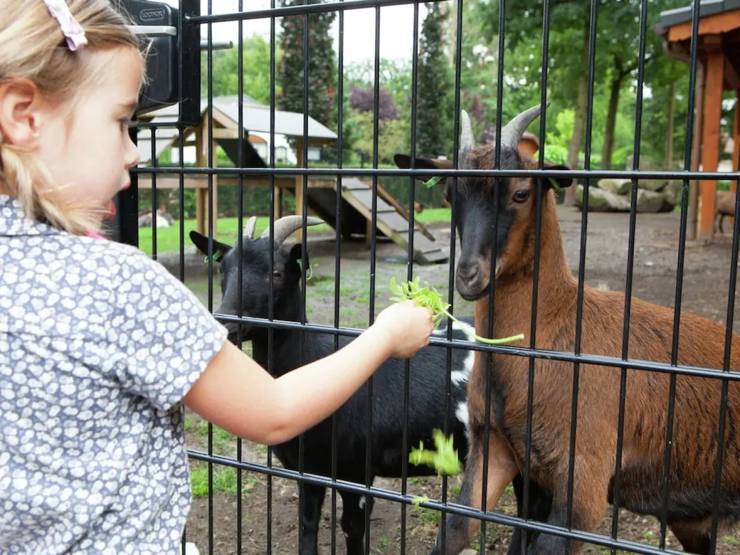 Bright Chalet in the Achterhoek