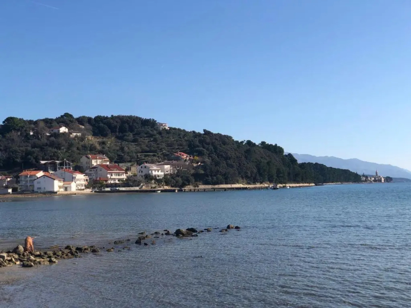 Apartments Palit Rab