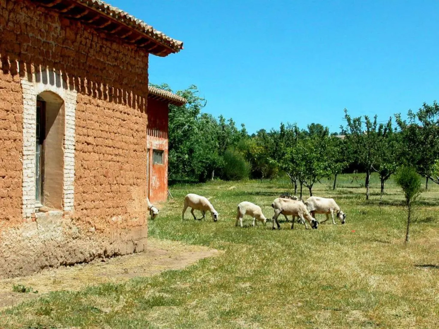 La Casa Grande de Quintanas de Gormaz