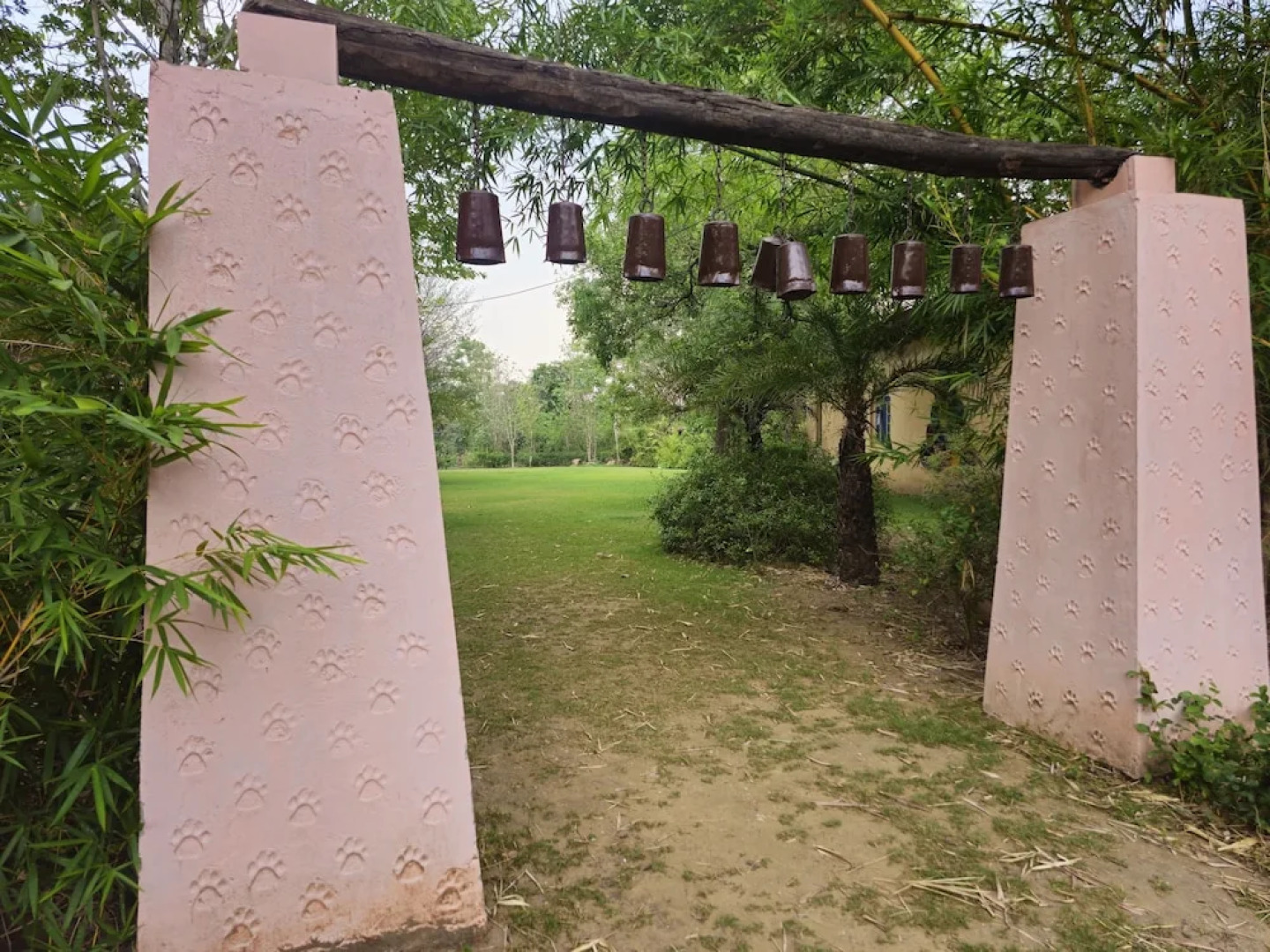 The Celebration Van Vilas