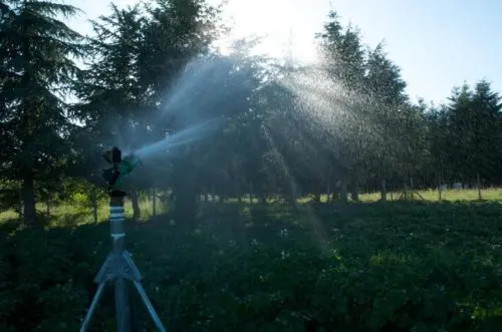 Agriturismo Fiorella