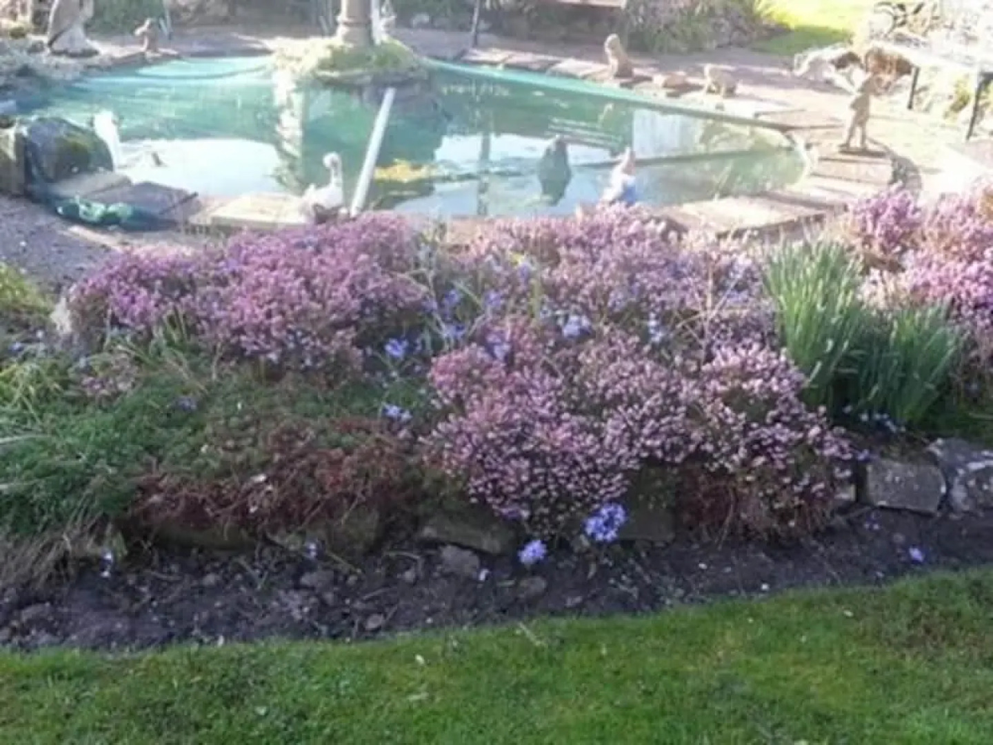 Rylton House Sutton Bridge Lincs