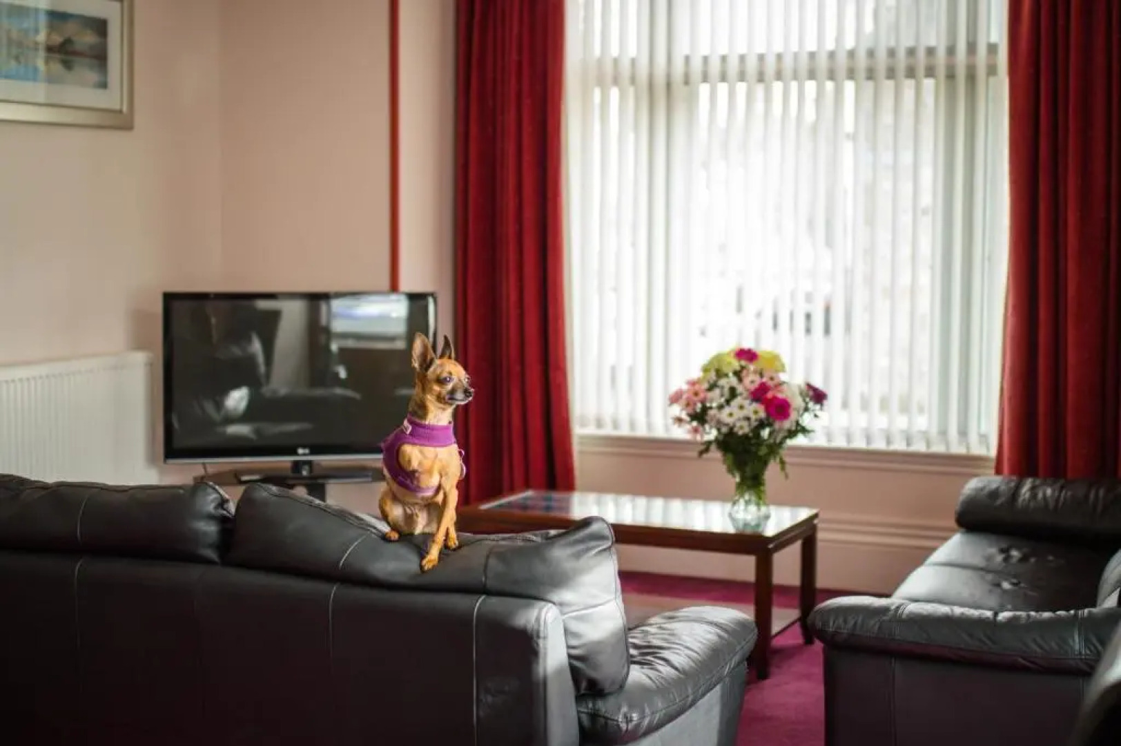 Aden House Bed and Breakfast