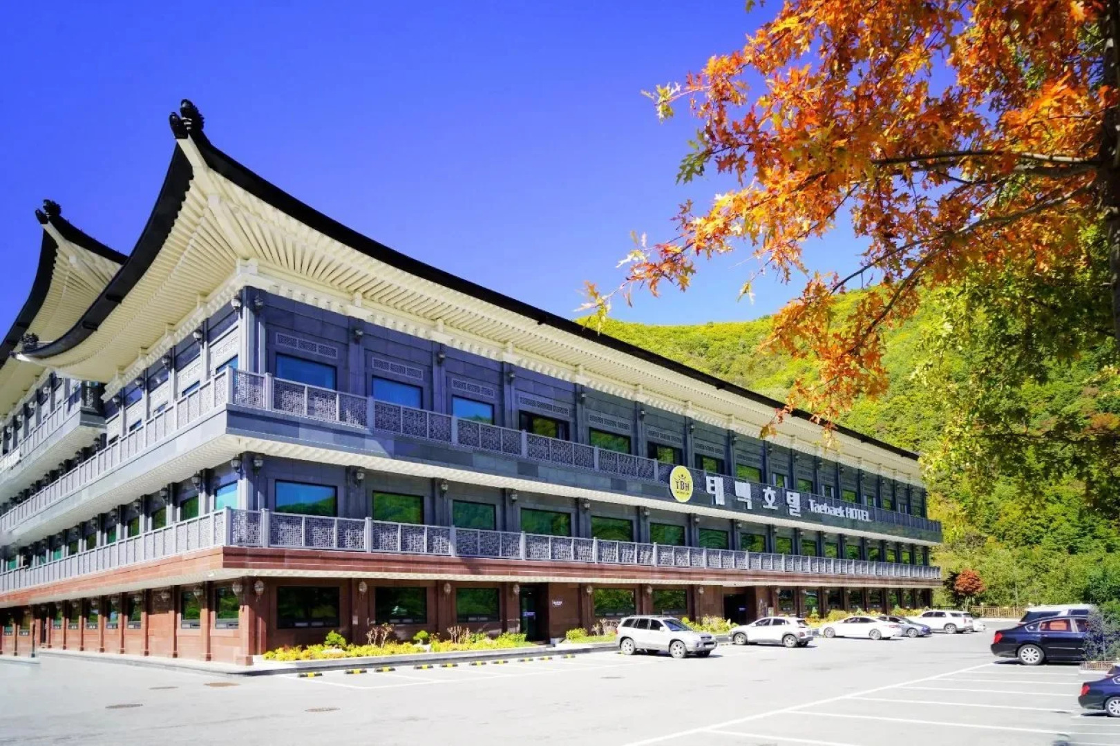 Taebaek Hotel
