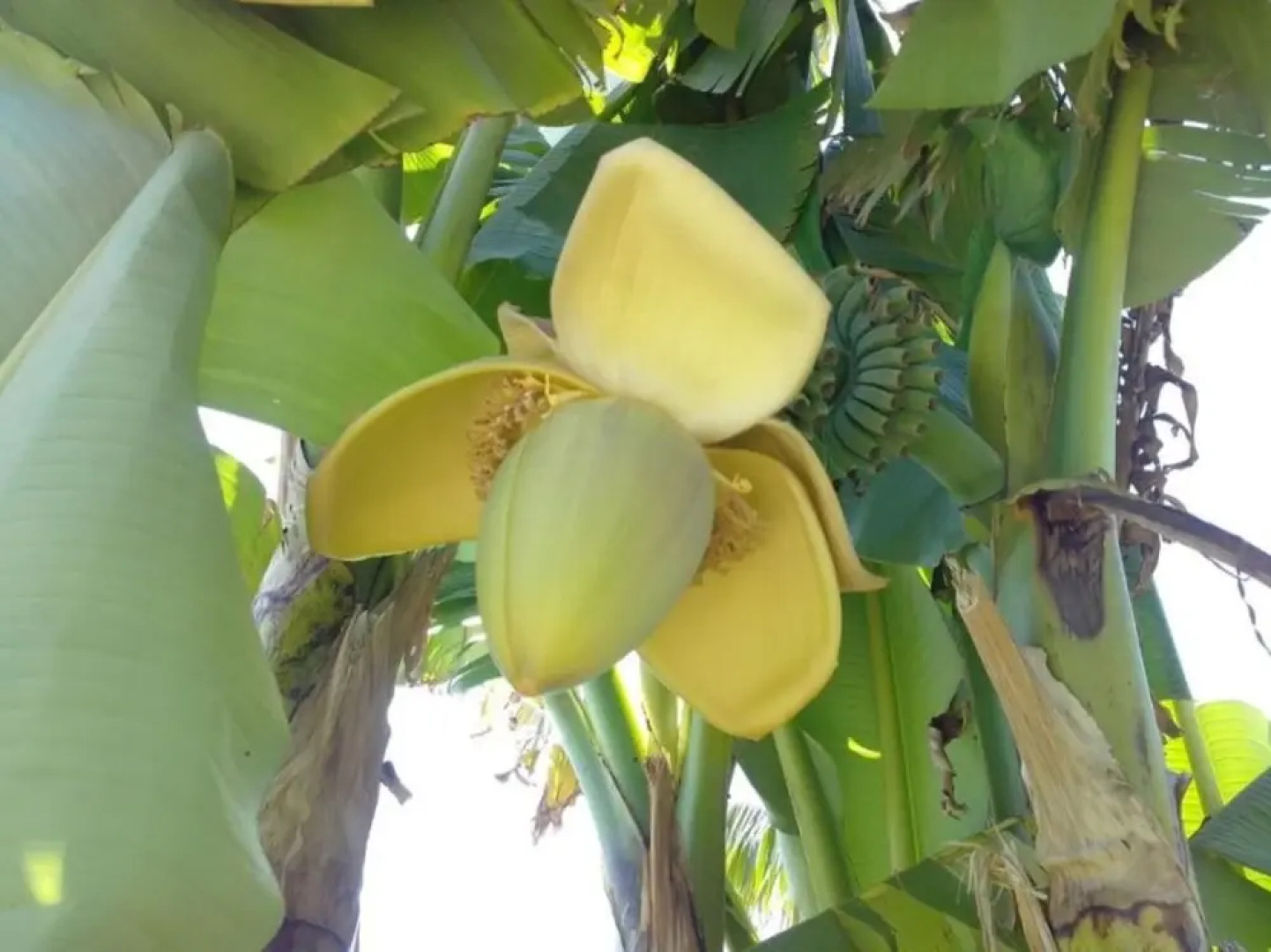 Villa With 3 Bedrooms In Lavergne, With Wonderful Lake View, Private Pool, Furnished Garden - 186 Km From The Beach