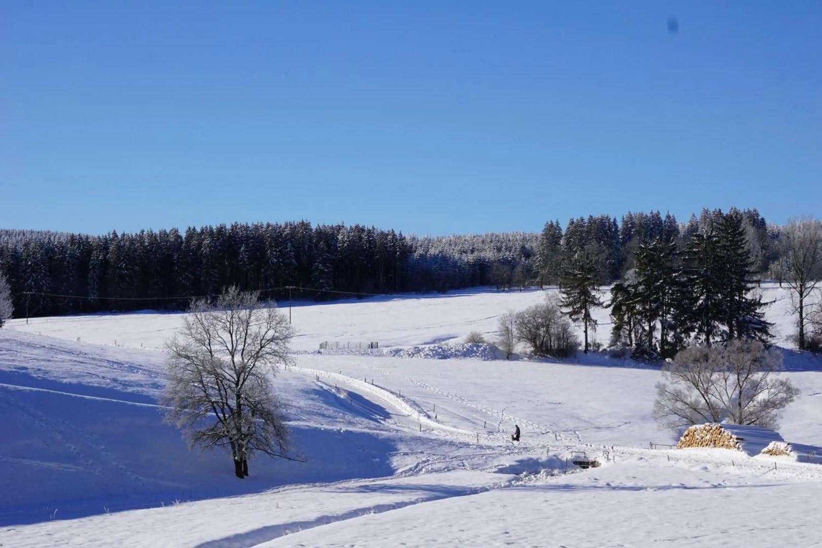Wanderlust - Thüringer Wald, Rennsteig, Finsterbergen