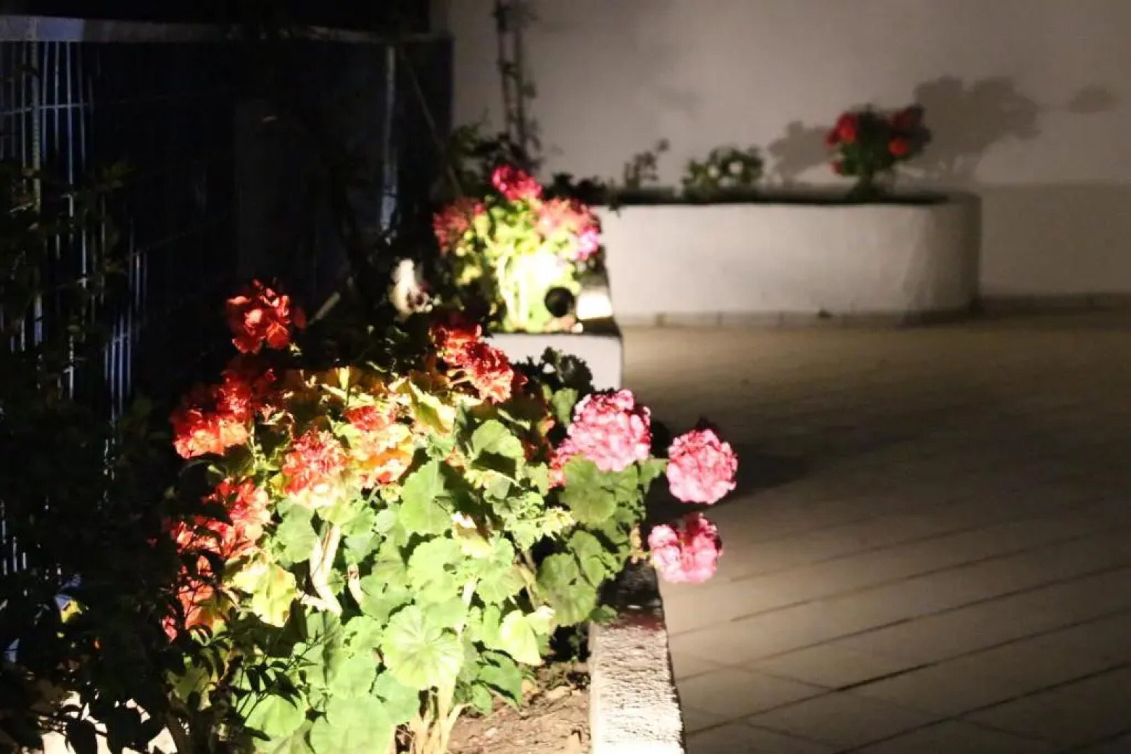 Theofilos Appartements