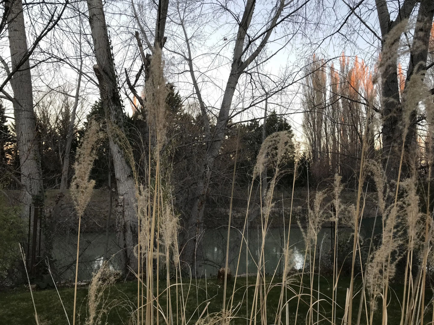 El Colibri Cabañas de la Naturaleza