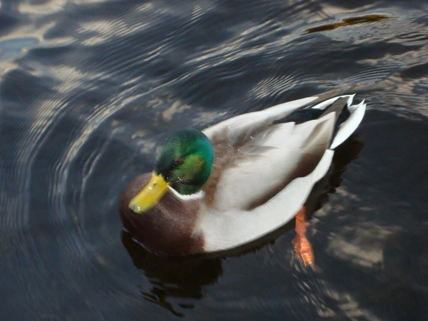Auberge The Parkers Lodge Inn