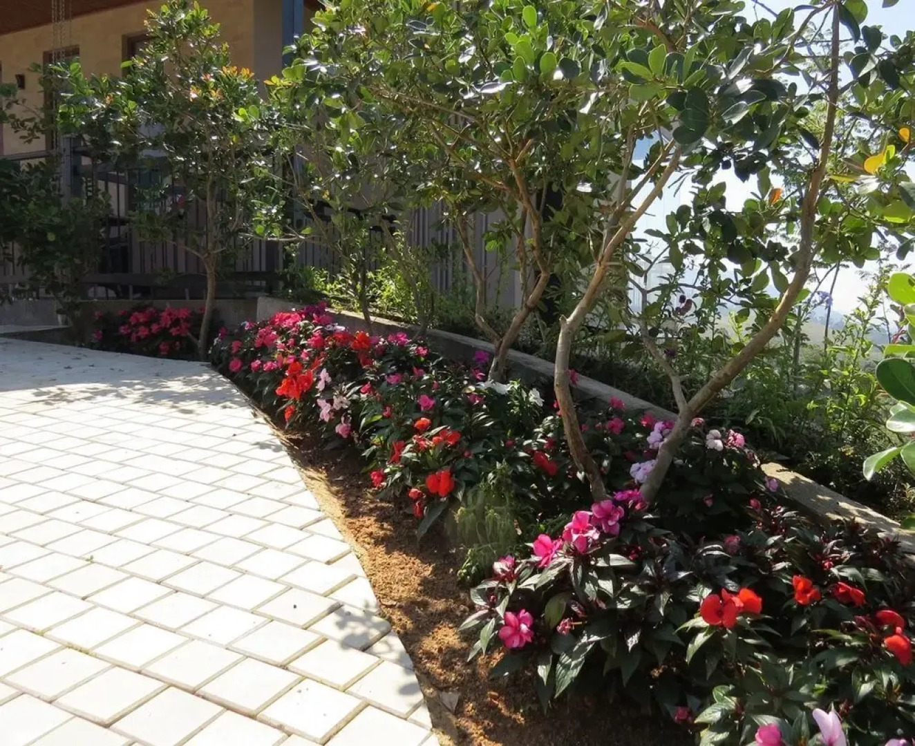 The Harrington Heritage Bungalow