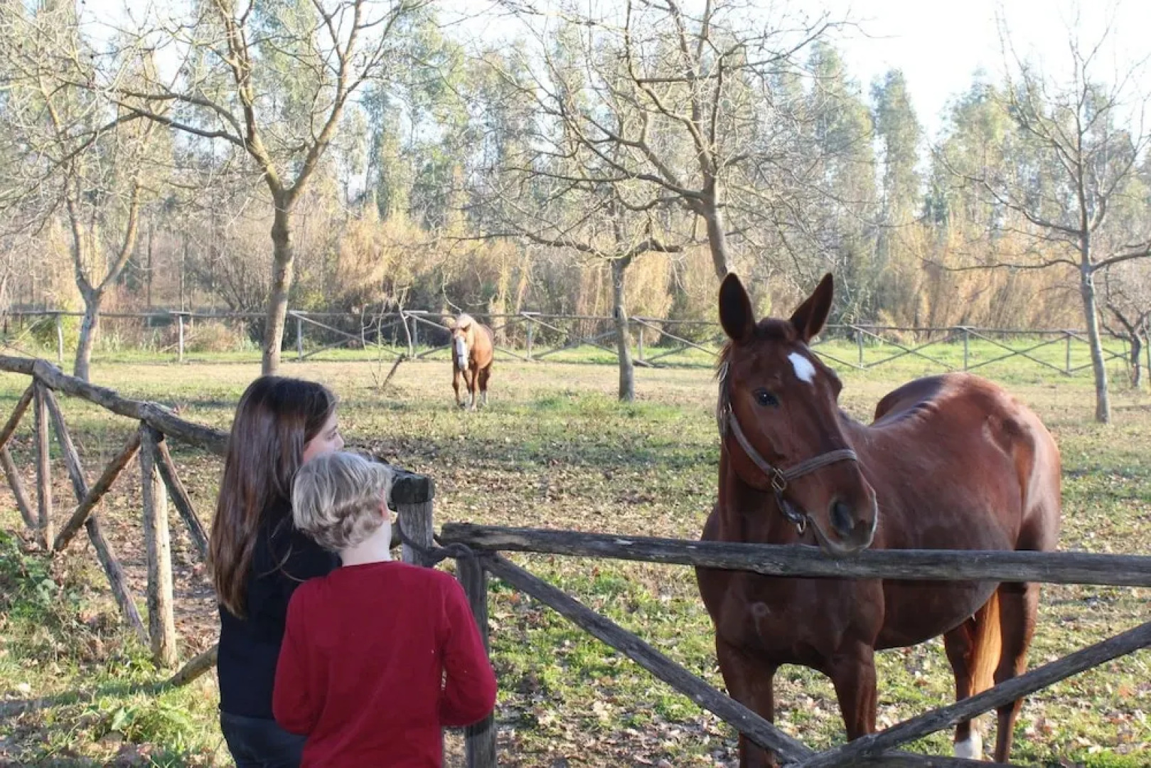 Agriturismo Pony Ranch - 1