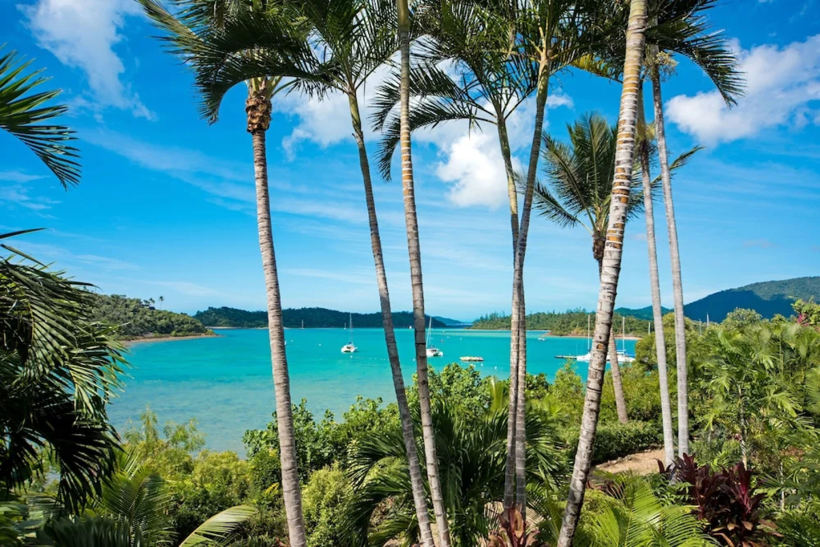 Baybliss Luxury 1 Bedroom Apt