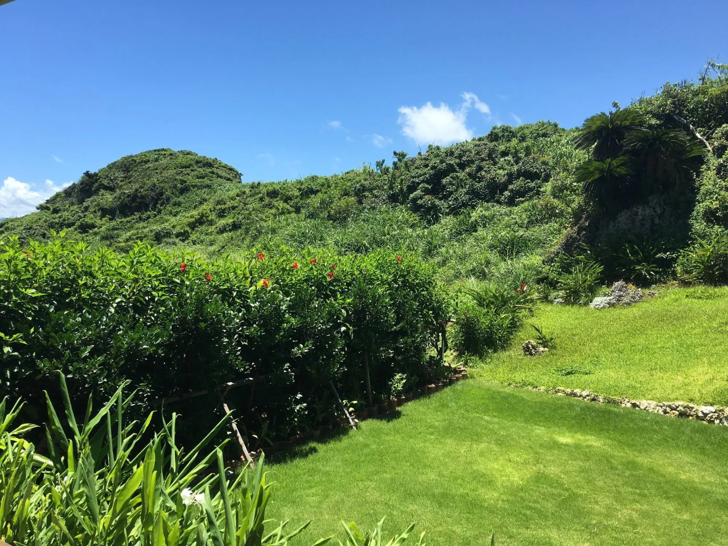 La casita kouri island