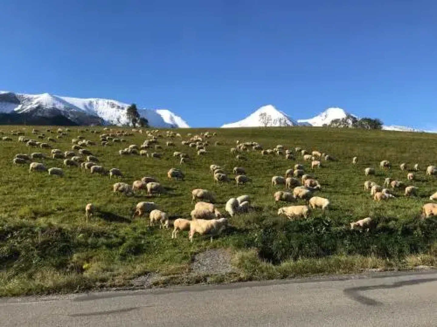 Rekreačný dom Chata Piero