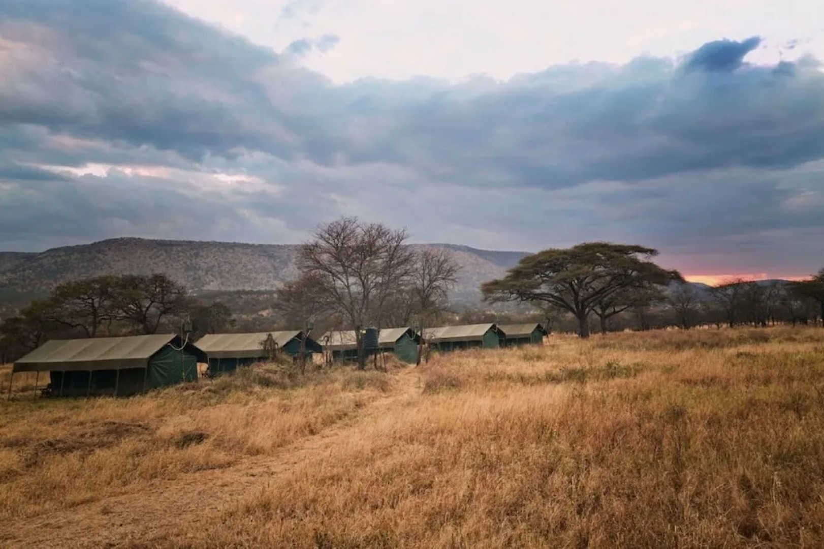 Rongai Eleven Serengeti Camp