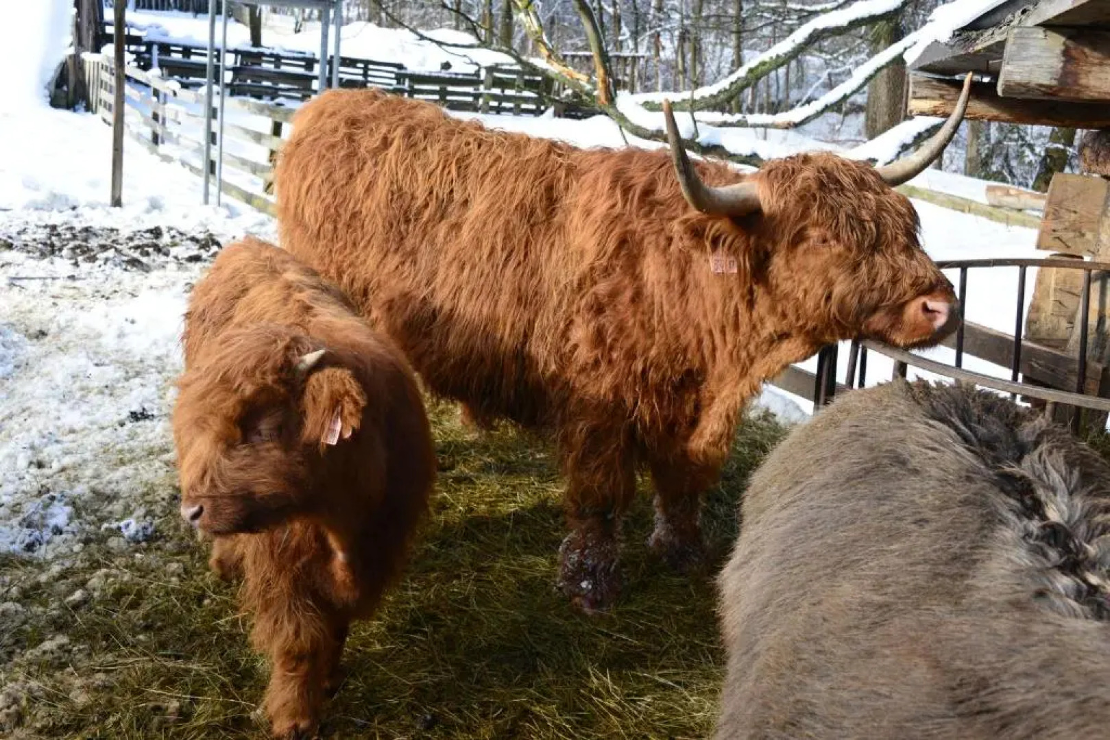 Roubenka rekreační středisko Vápenky