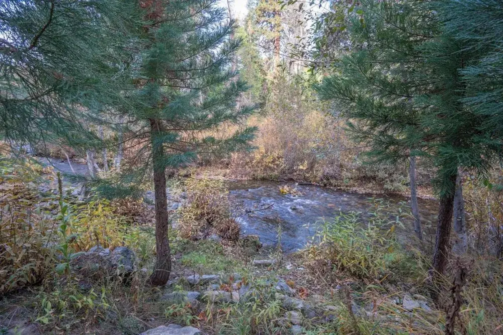 Yosemite Heights on Big Creek