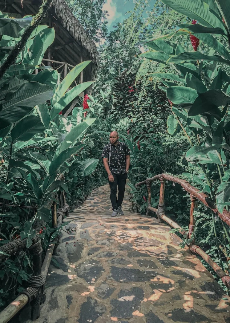 Dominican Tree House