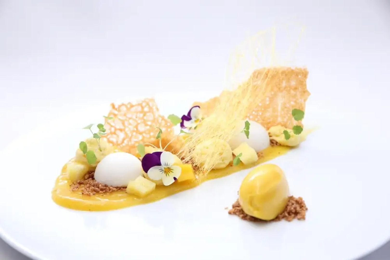 Entre Vigne et Garrigue