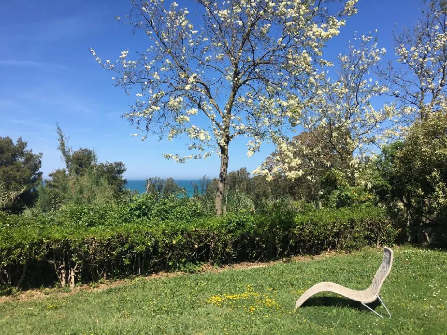 La collinetta sul mare