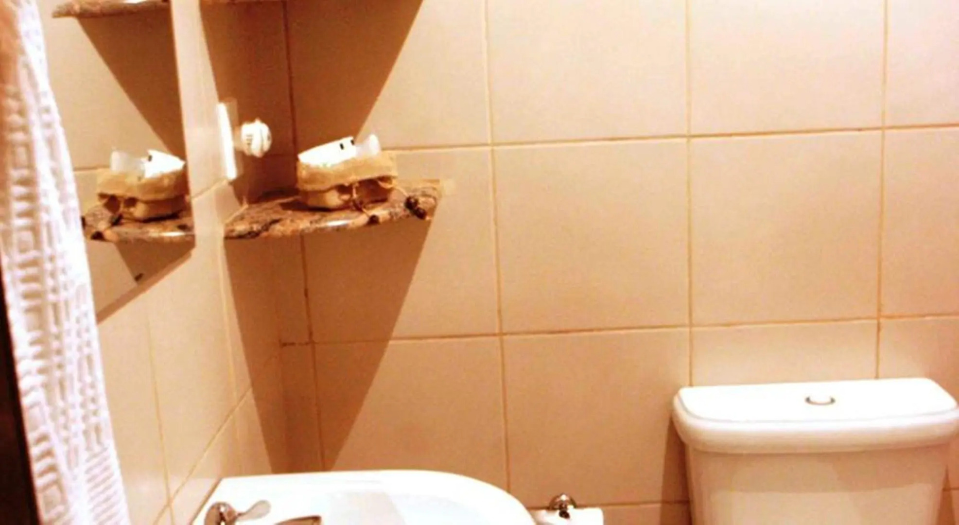 Amazon Ecopark Jungle Lodge