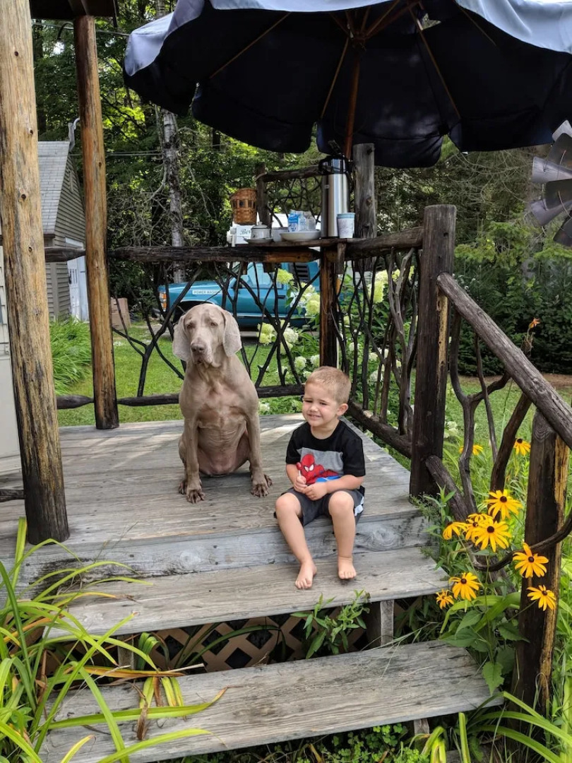 Pine Tree Motel & Cabins