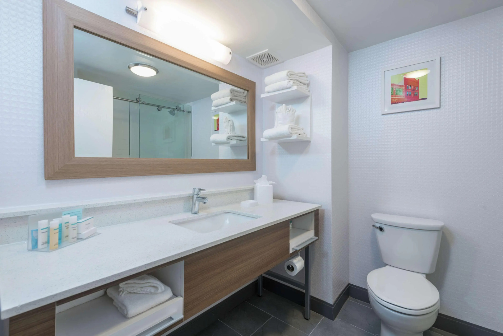 Hampton Inn Tampa-Veterans Expwy (Airport North)