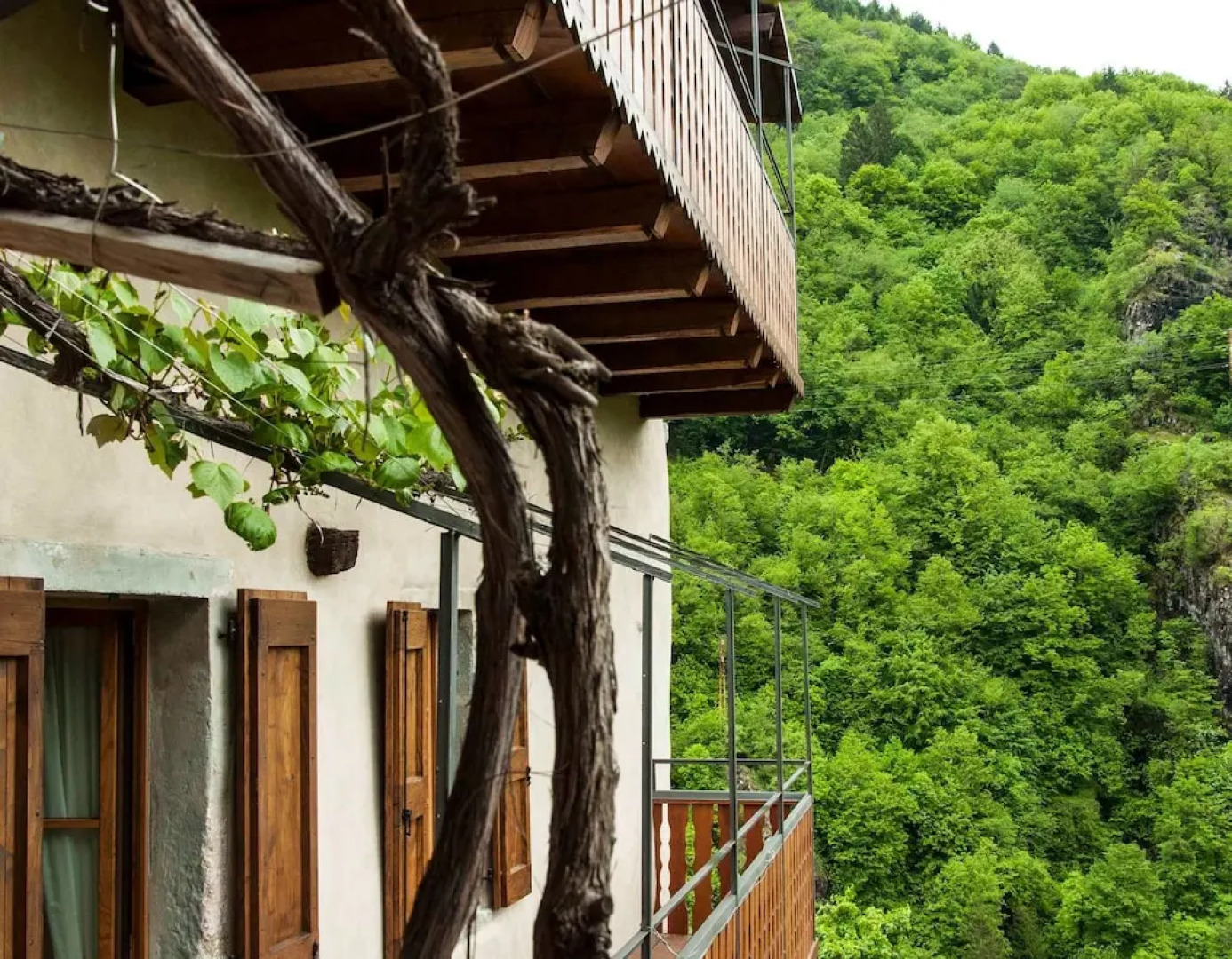 B&B la Tana Del Tasso