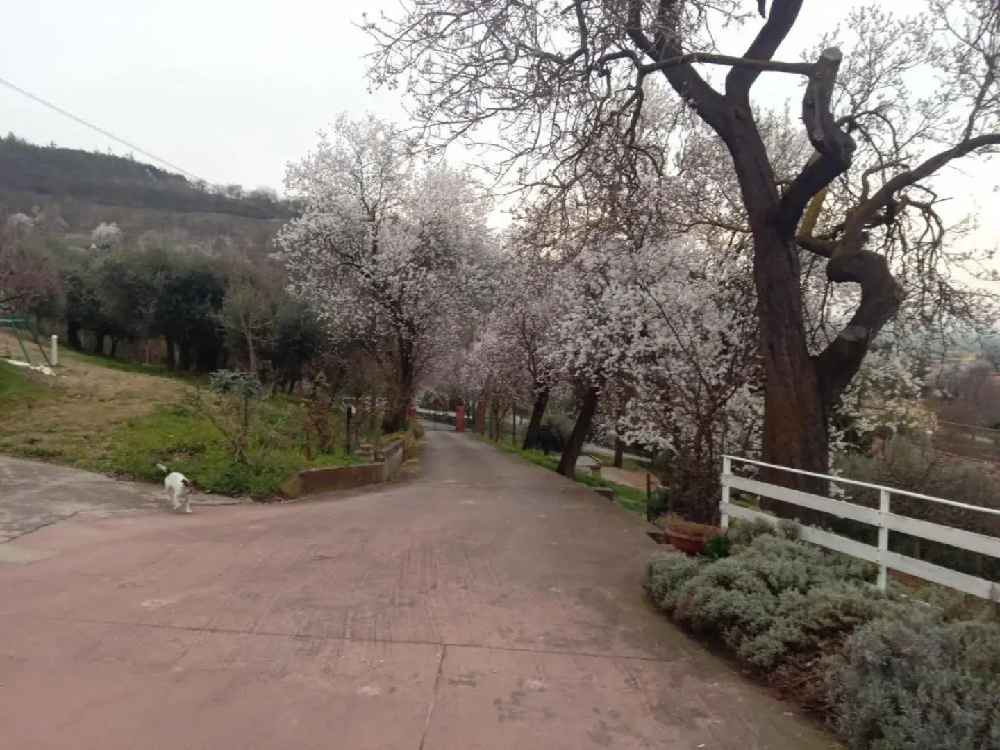 Casa via degli Ulivi 13