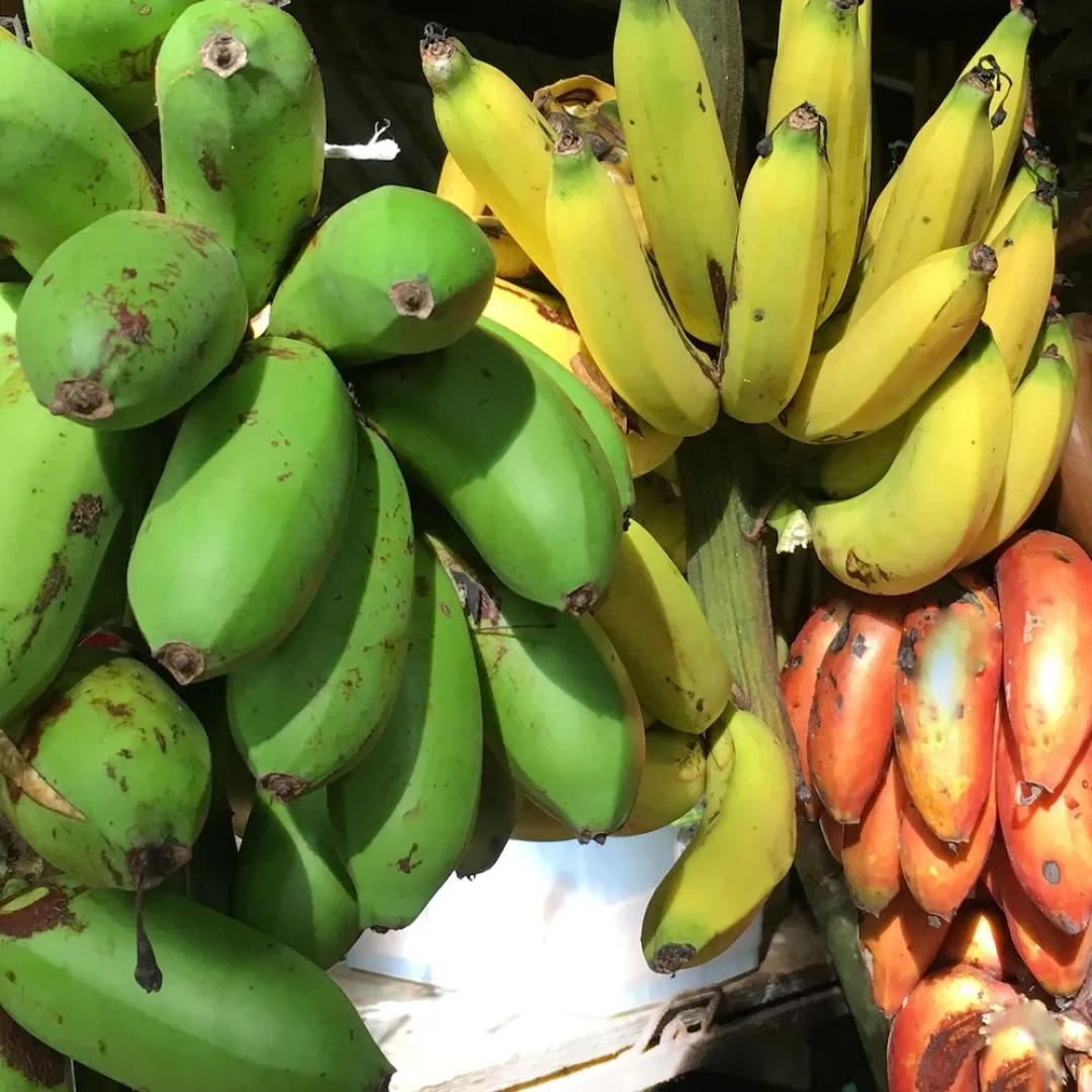 Hostel Cascada Verde