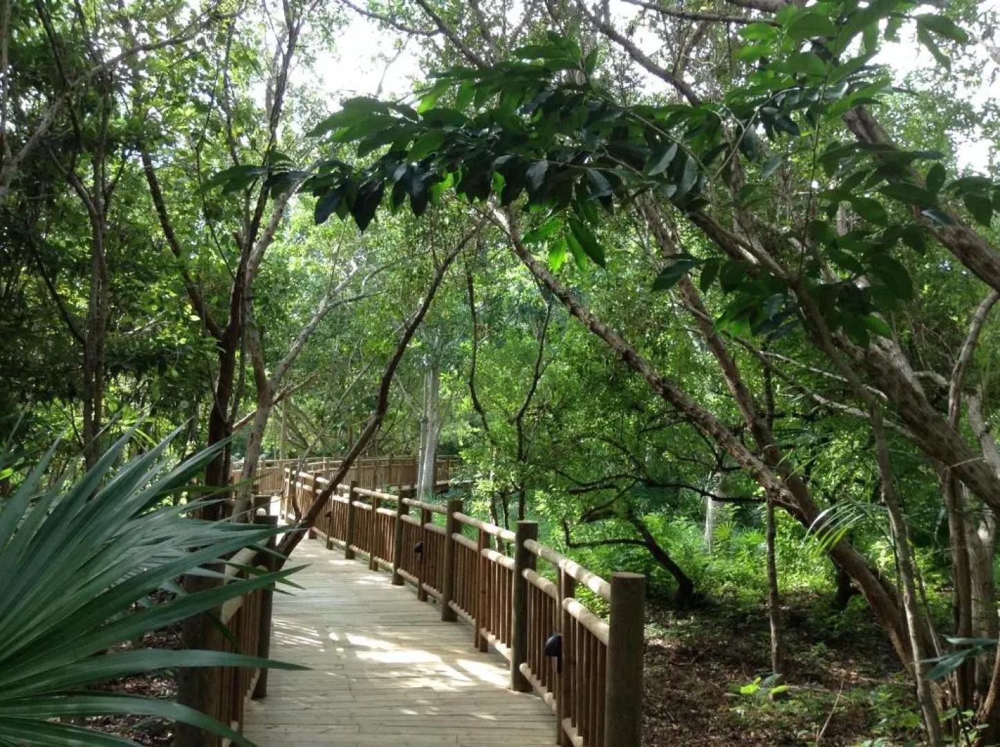 Suites at Mayan Palace Vidanta Resort Riviera Maya