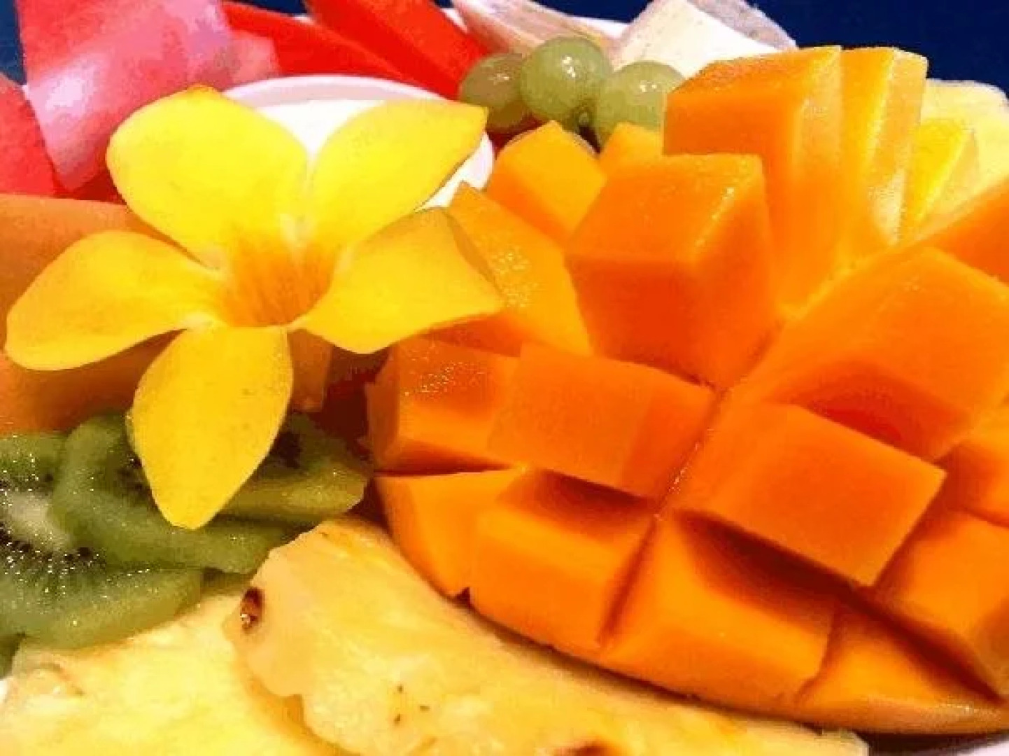 Coral Sea Retreat Bed and Breakfast