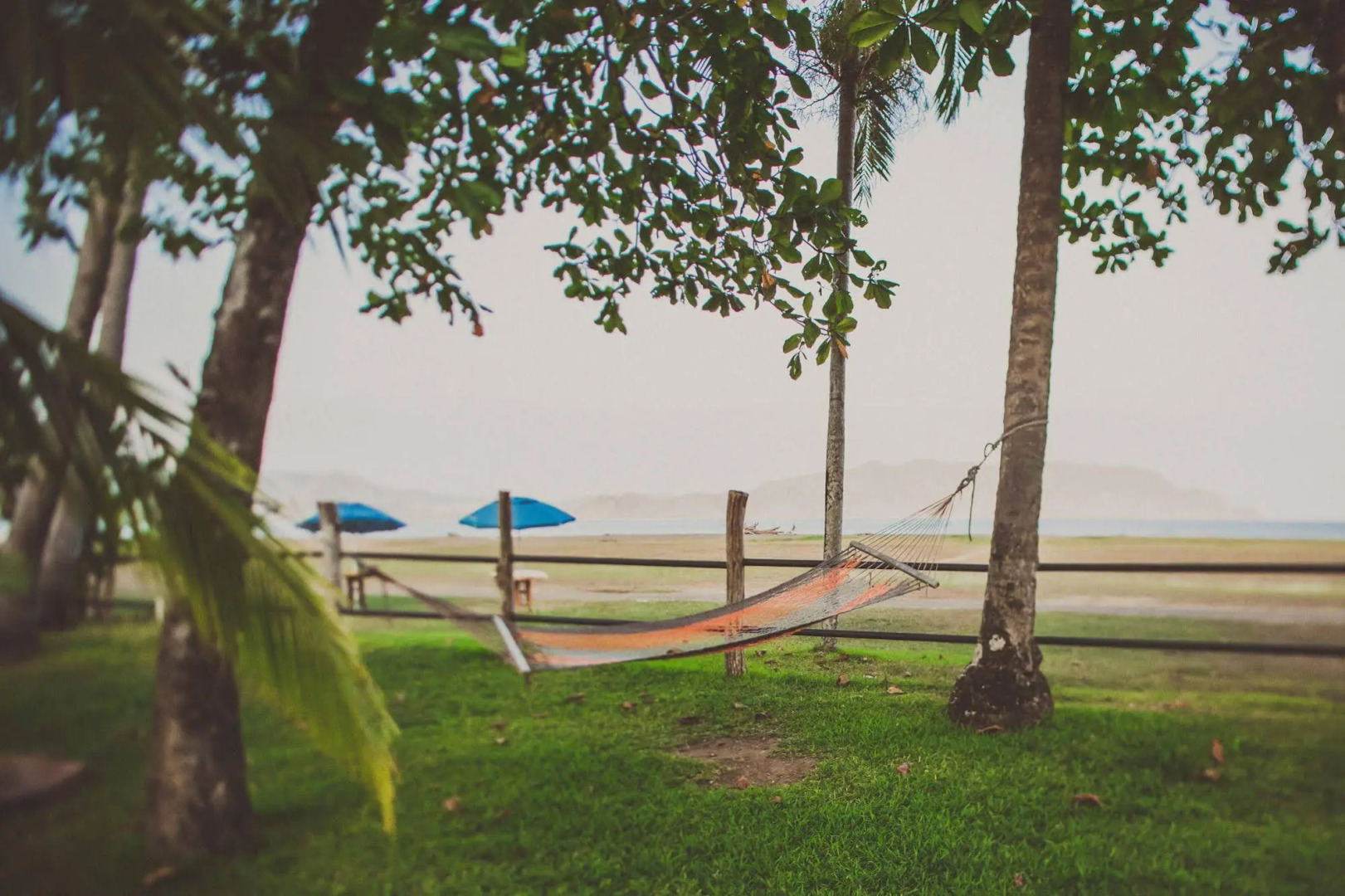 Tambor Tropical - Adults Only