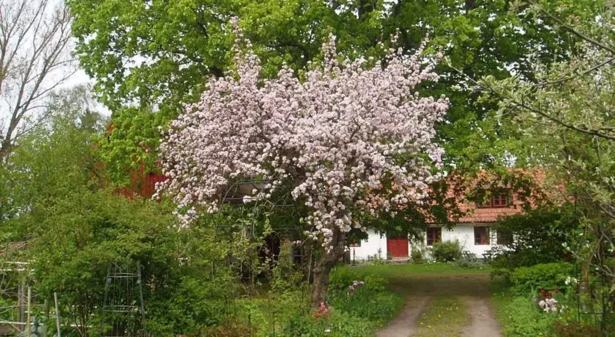 Björkas Mariehem Bed & Breakfast