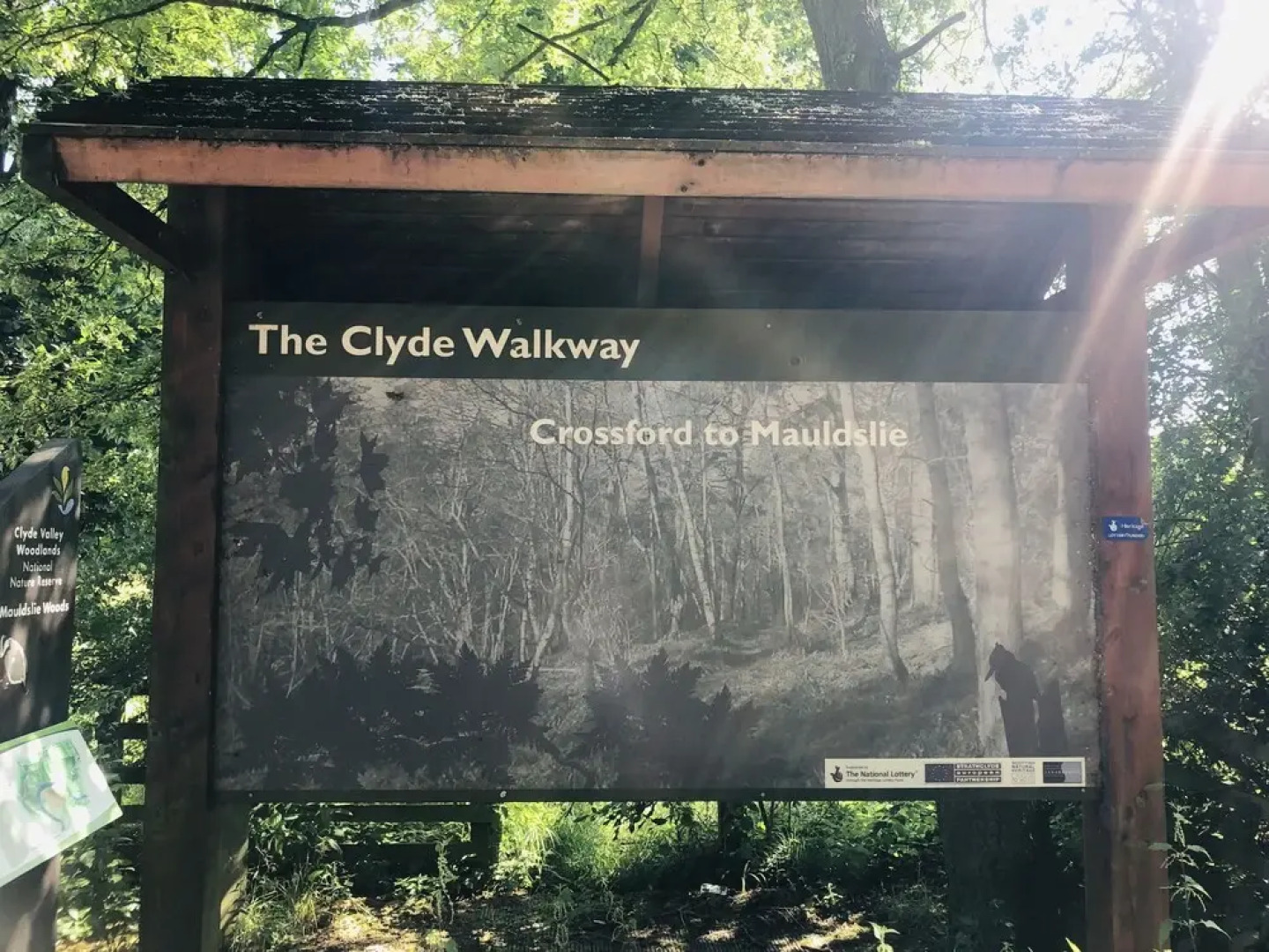 Stunning 1-Bed Apartment in Clyde Valley