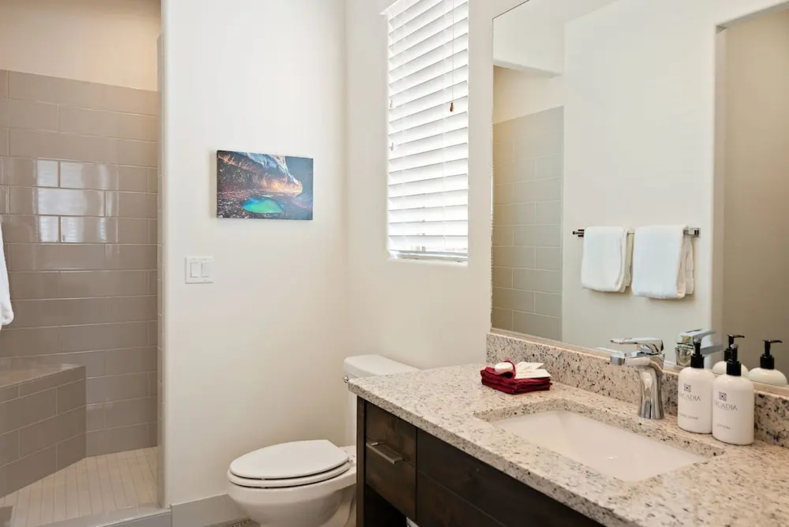 Arcadia #28 'ob-la-di'