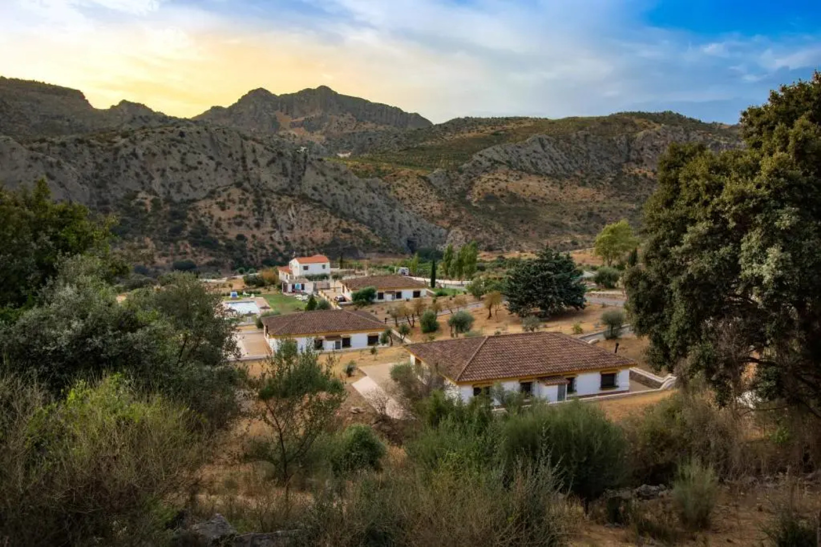 Apartamentos Cedro Alto