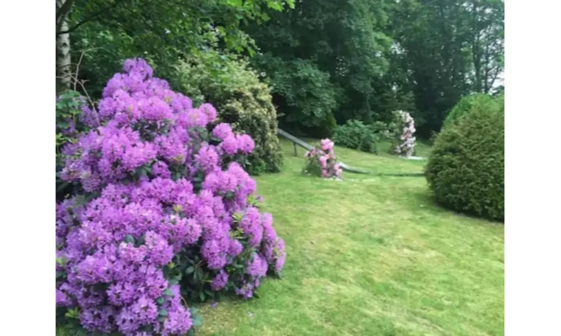 The Royal Standard Guest House