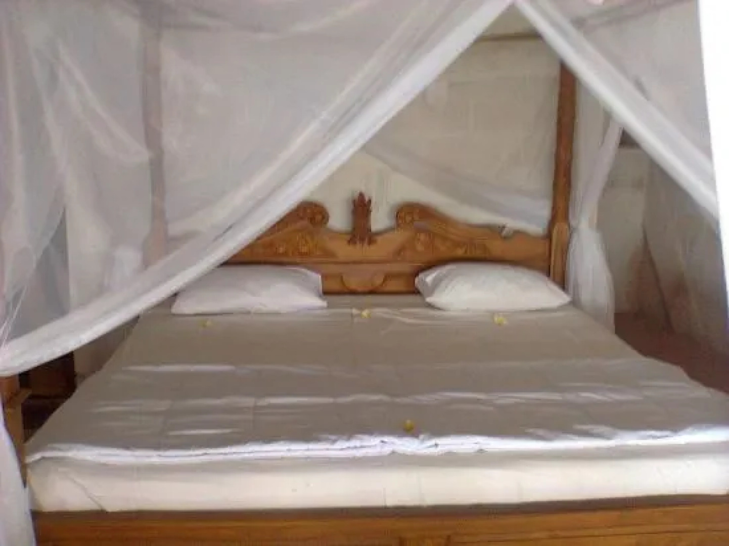 Inn Possible Cliff House