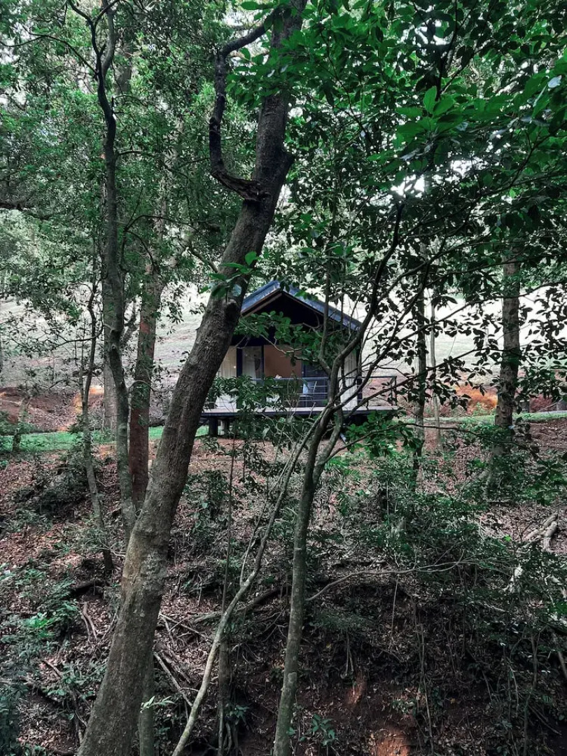 Serenity Ecolodge Costa Rica