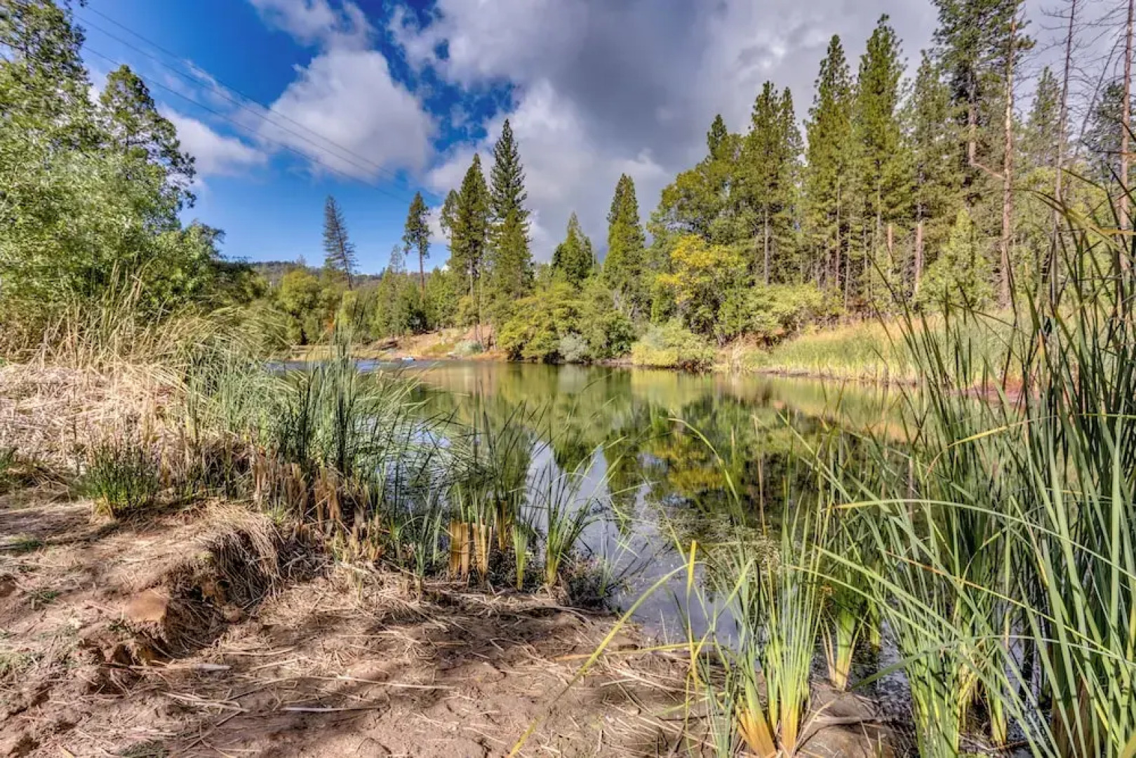 Pet-friendly Escape w/ Game Room & Fire Pit!