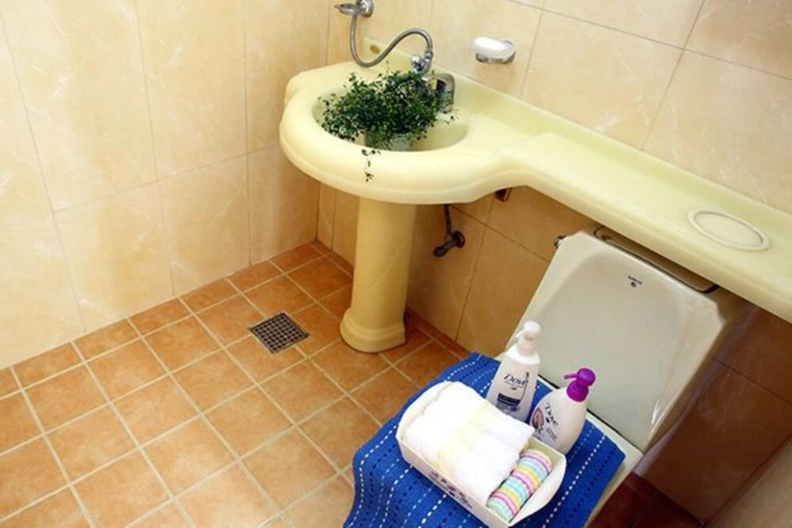 Anmyoendo Gomseom Simile Pension