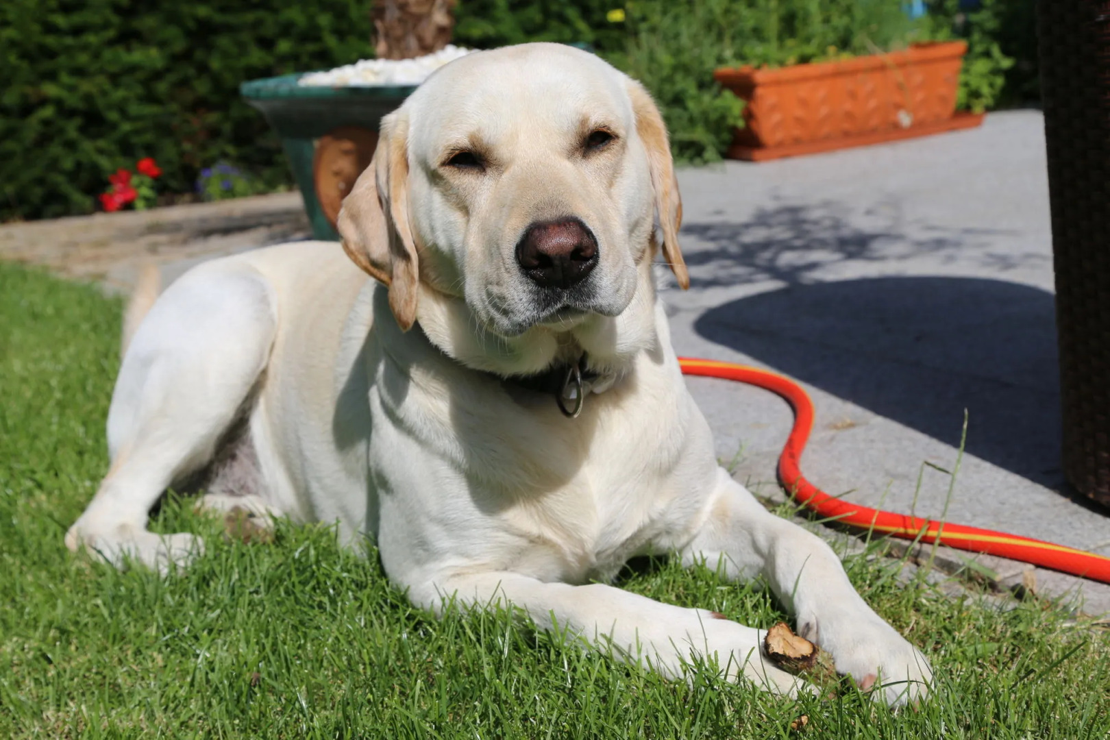 Villa Thea Kurhotel am Rosengarten