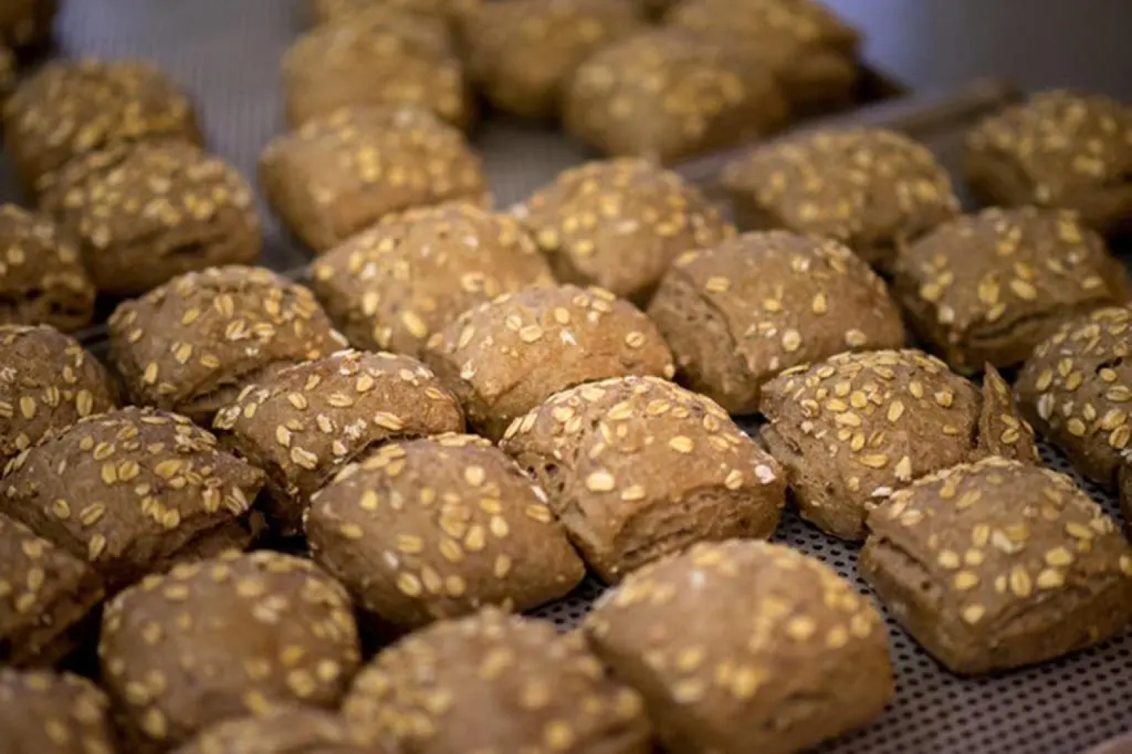 Hotel Coop Tagungszentrum & Hotelpark im Grünen