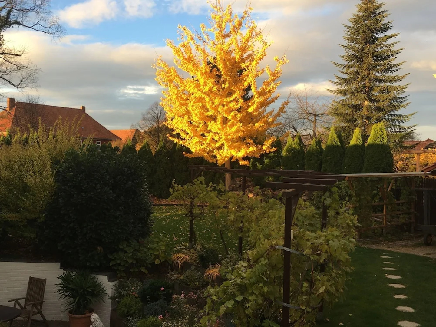 Ferienwohnung Dettum