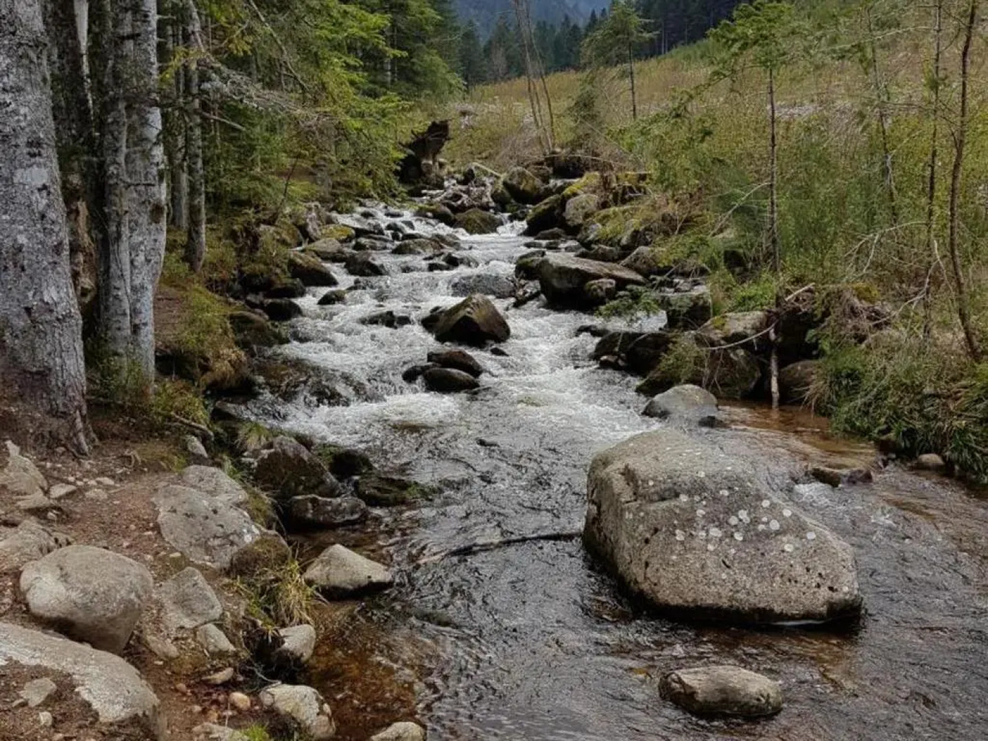 Gîte Saint-Bonnet-le-Courreau, 5 pièces, 6 personnes - FR-1-496-9
