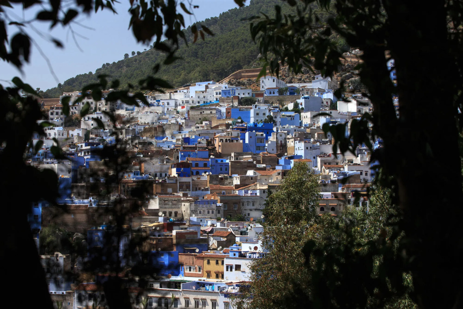Riad Zaitouna Chaouen