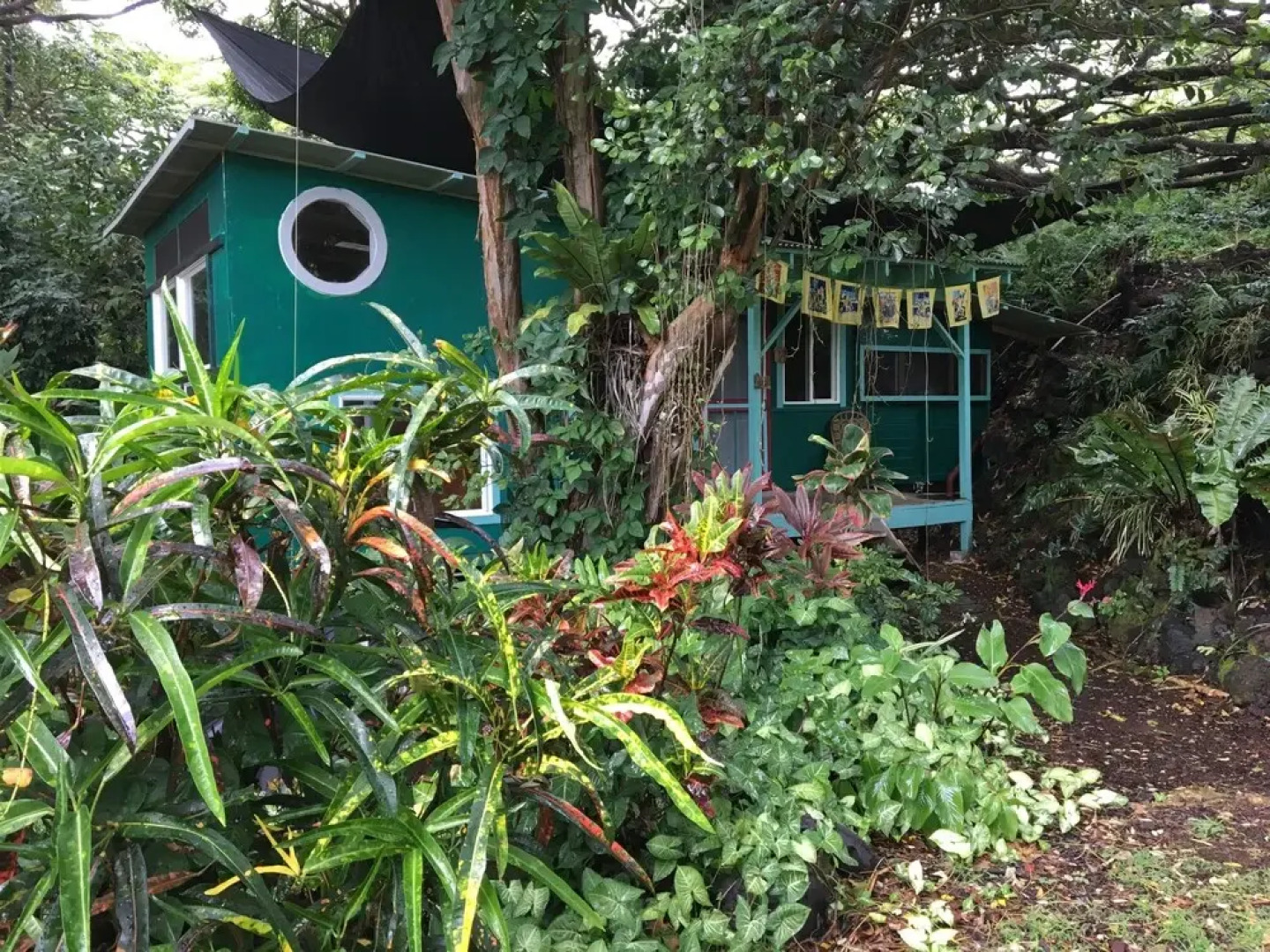 Sweet Spot Stay - Tikis and Treetops