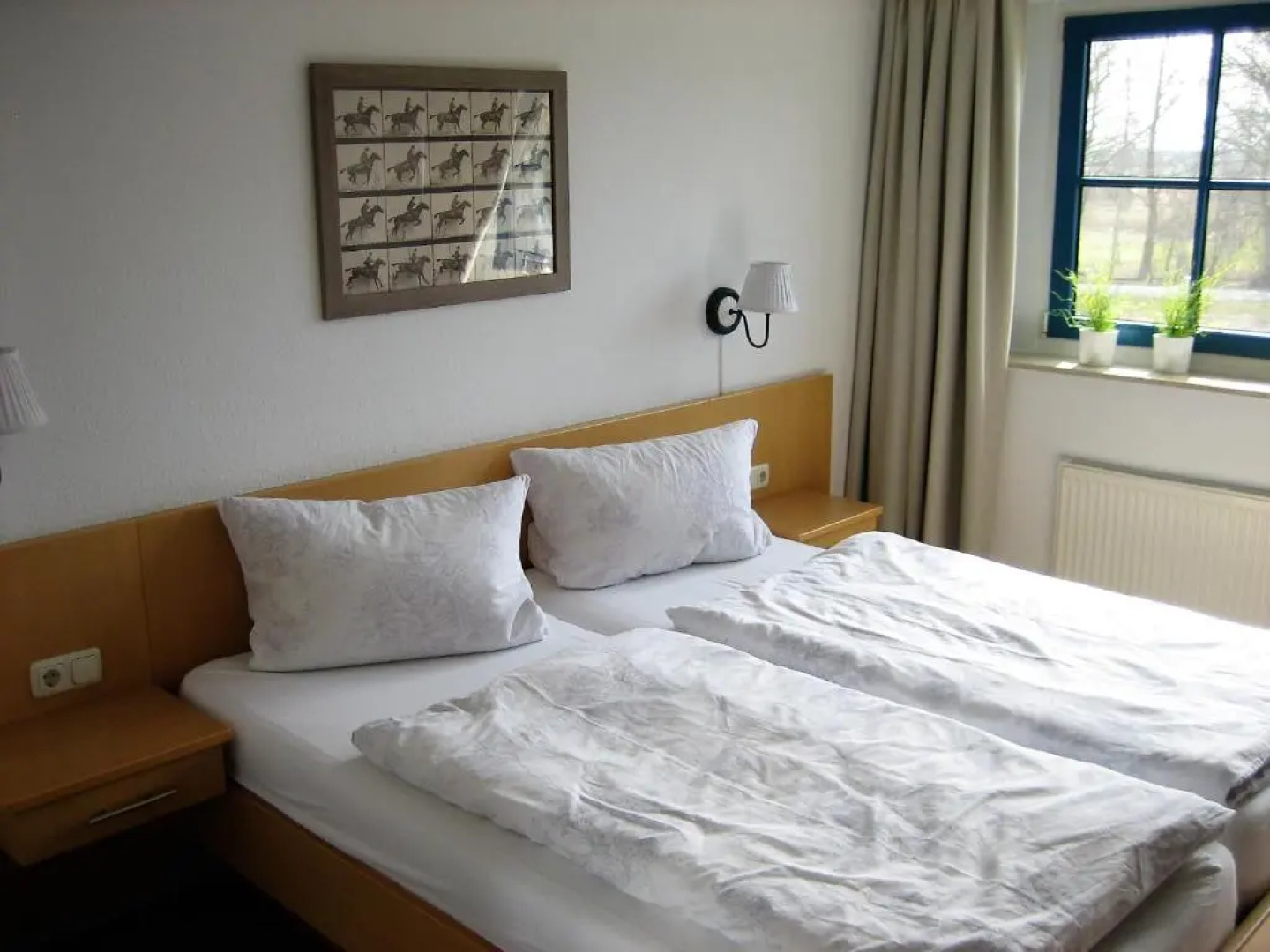 Komfortables Reetdachferienhaus Hasel 1